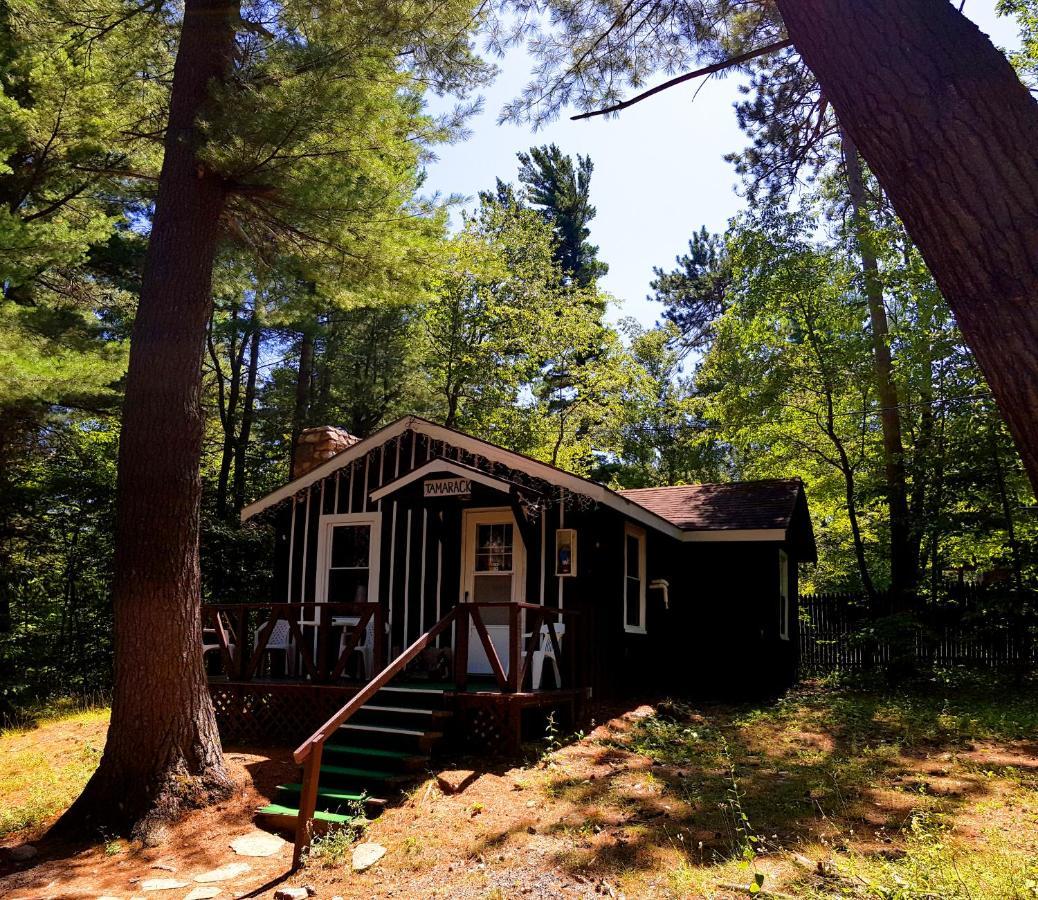 The Wilderness Inn: Chalets Wilmington Bagian luar foto